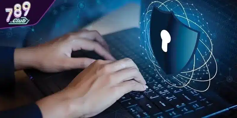 Quản lý bình luận và phản hồi